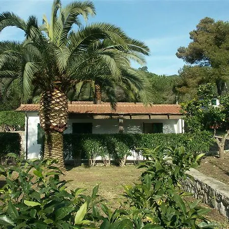 Le Palme *